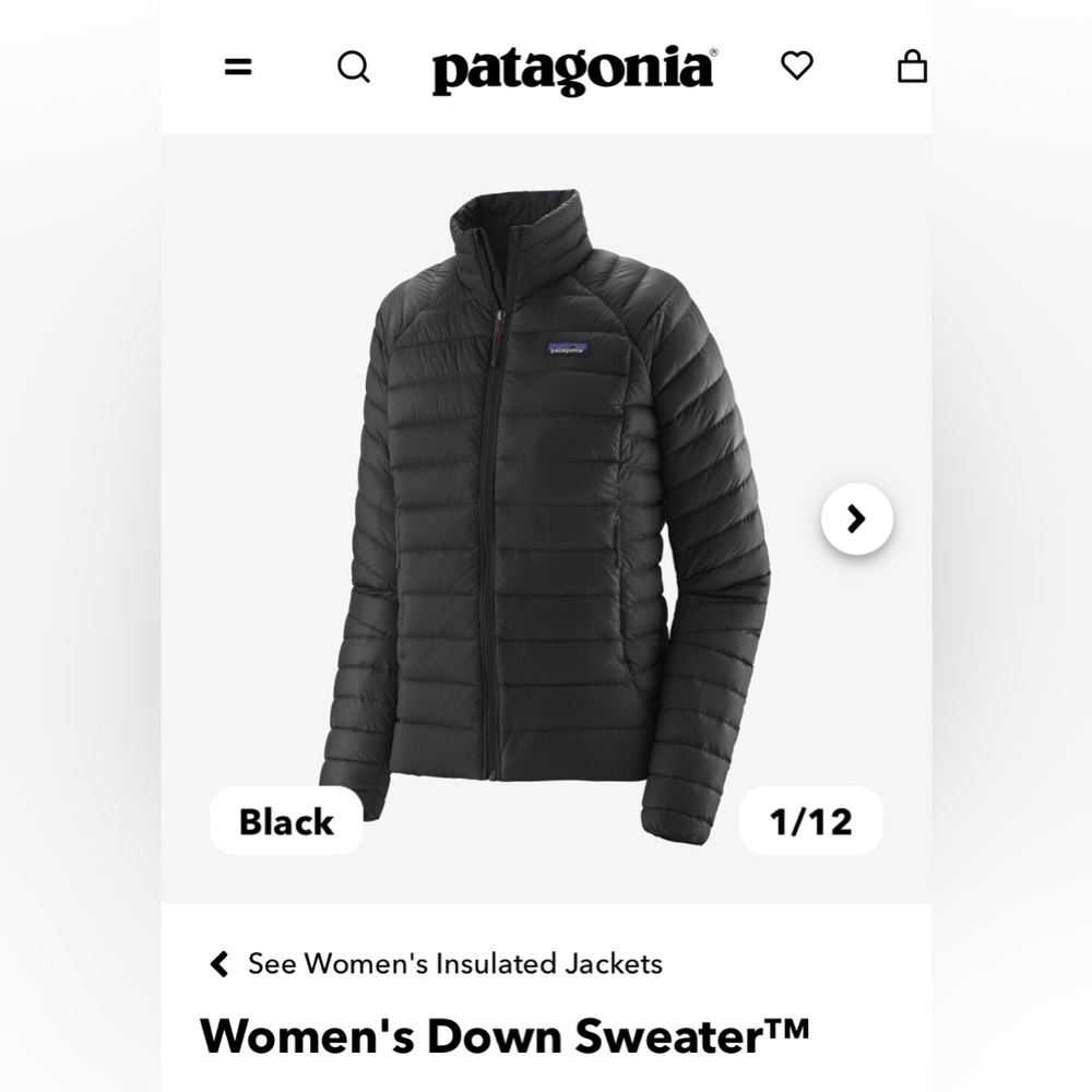 Patagonia Down Jacket - image 1